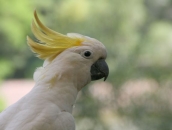 Australia South East