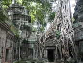 Cambodia