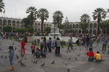 IMG 8623