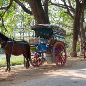 Horse cart at Inwa (Ava)