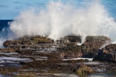 Blowholes langs de kust van Tongatapu
