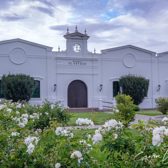 Bodega El Esteco in Cafayate, Salta