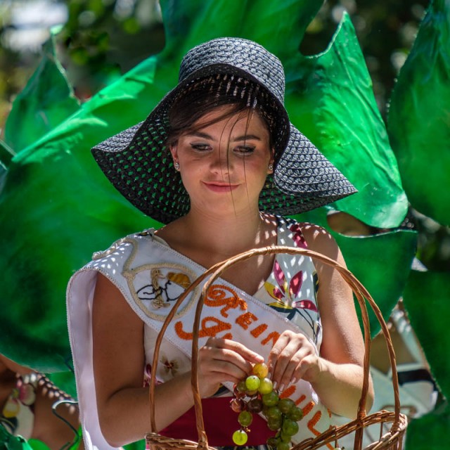 Handing out grapes at Vendimia 2018