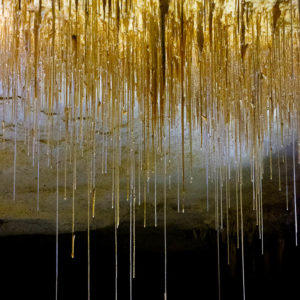 Ultra dunne stalactieten in de Naracoorte caves