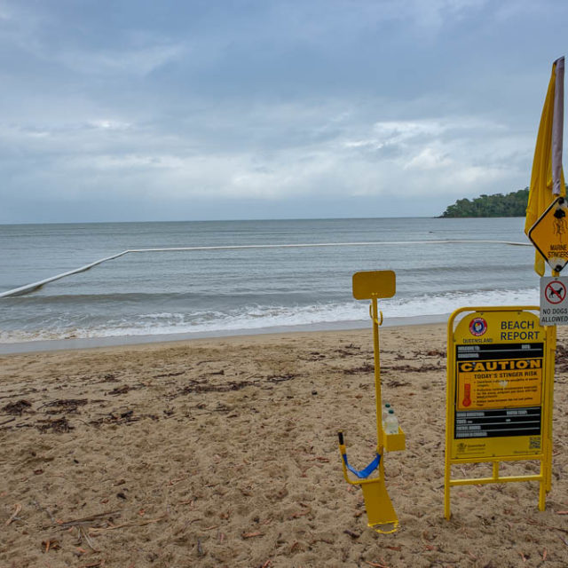 Beware of marine stingers