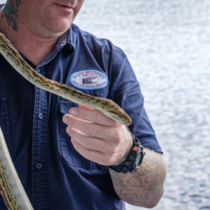 De slangenvanger en zijn python