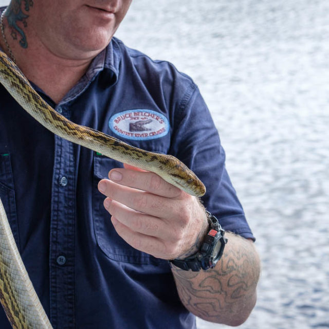 The snake catcher and his python