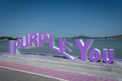 Purple Island